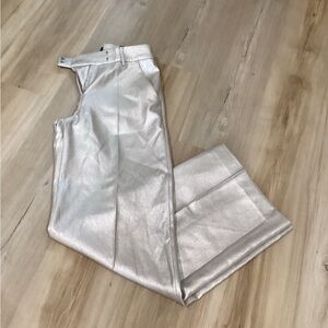 Express Silver Women's Pants